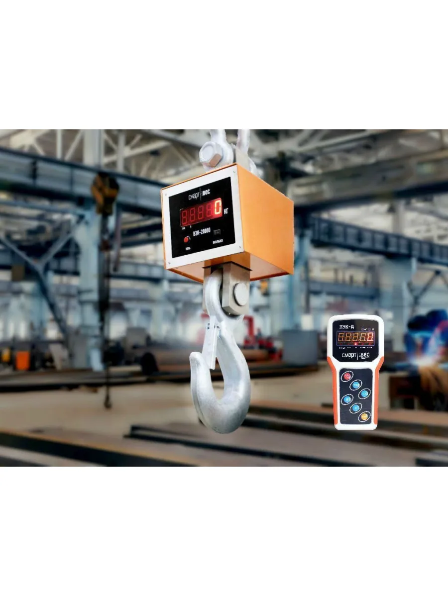 Весы электронные крановые ВЭК- 3000 С дублированием 3,0 тн (с поверкой)