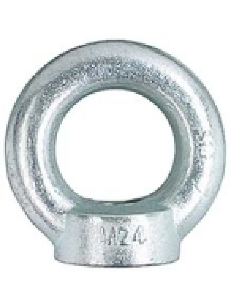 Рым-гайка DIN 582 М42 FORCE LIFTING