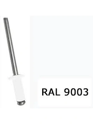 Заклепка вытяжная комб. алюм-сталь  крашеные  (9003) 3,2х 6 белый (упаковка 1000шт.) POWER FASTEN