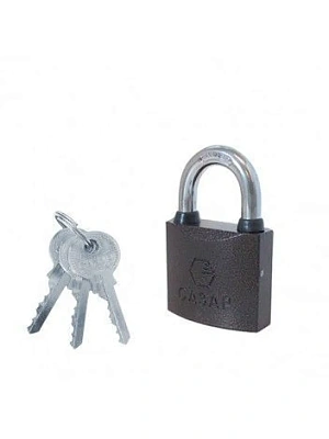 Замок навесной стальн. с полимерным покр. Р-02/40 САЗАР