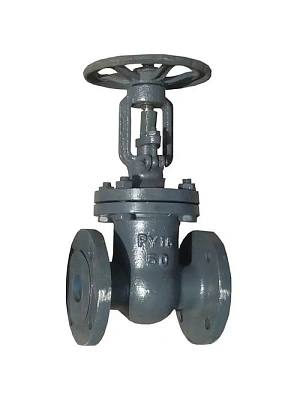 Задвижка 30с41нж  Ду50 Ру16 AQUA LIFE