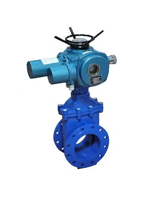 Задвижка 30с941нж  Ду50 Ру16 с электроприводом ТИП-НА